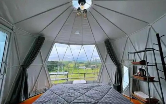 Yellowstone Cheewa View