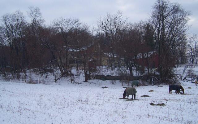 Fallen Tree Farm Bed & Breakfast