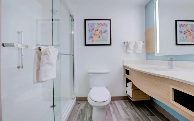 Hilton Garden Inn Anaheim Garden Grove