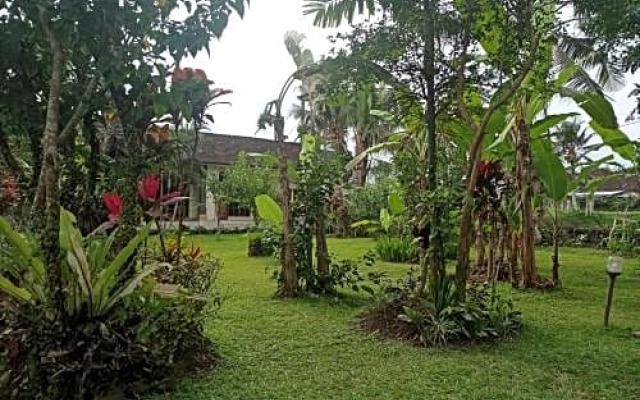 Narada House Ubud