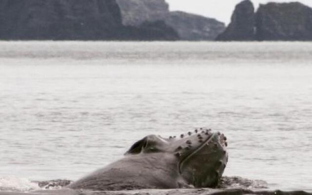 The Convent Guesthouse