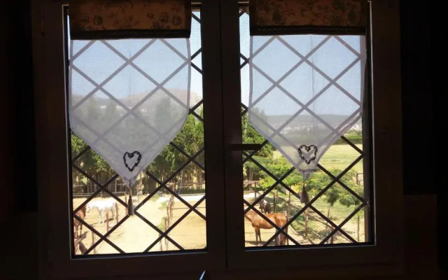 Casa Rural Hípica Mas Paguina
