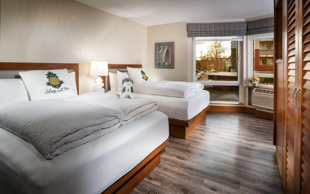 Staypineapple, Watertown Hotel, University District Seattle