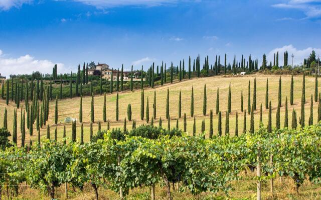 Ricciolo 4 in San Gimignano