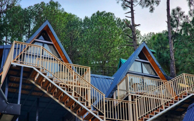 Musical Paradise Kasauli