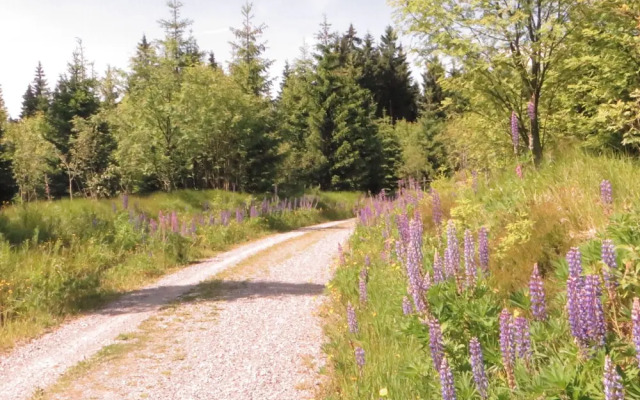 Pension & FeWo's Talblick