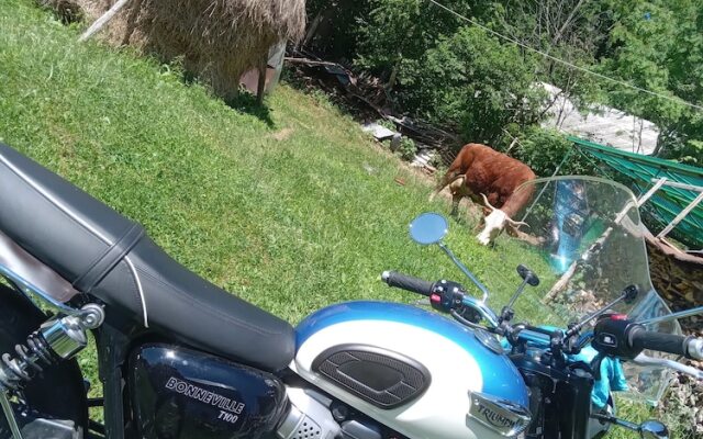 Room in Guest Room - Rural Holiday Transylvania