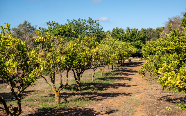 Vila Valverde Design Country Hotel