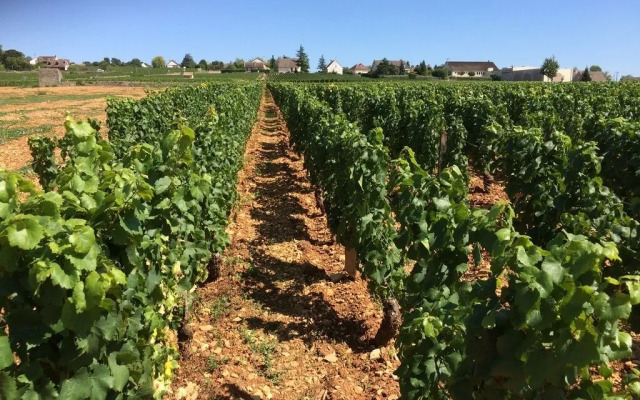 Gasthaus zum Hirschen