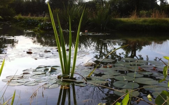 Landhotel Waldseiterhof