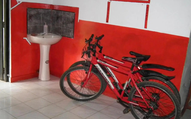 Rural Jungle Backpackers Hostel