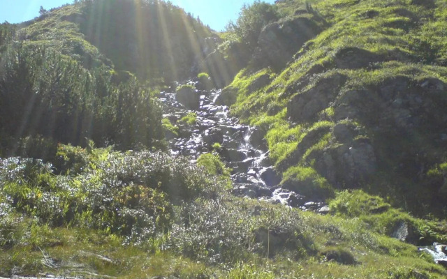 Riefli Aparts