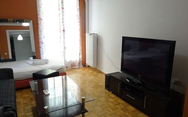 Down town comfort apartment