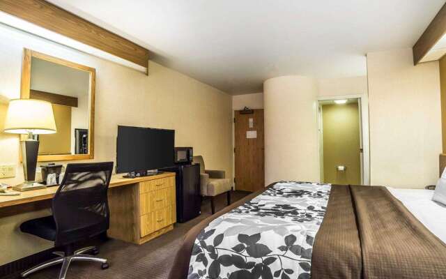 Quality Inn Moab Slickrock Area