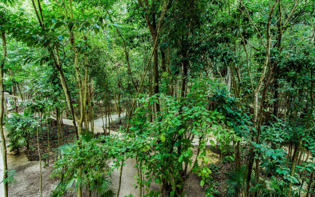 Condo Hotel El Vivero Tulum