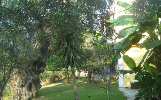 Villa Theodora