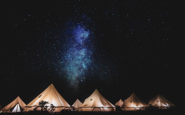 Texas Renaissance Festival