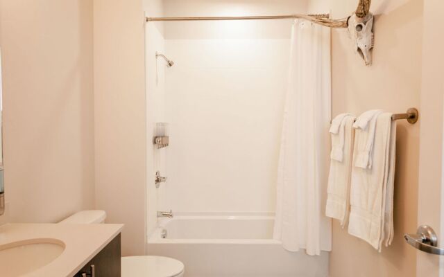 HOLT - Modern, Newly Renovated 2BR in Willits Town Center
