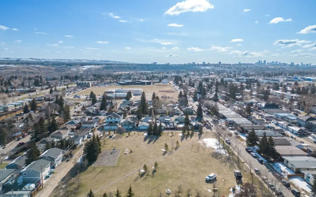 The Owl Petsok 3 Queenbd Firepit 3smarttvs