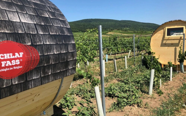 Schlaffass- Schlafen im Weinfass - Campsite