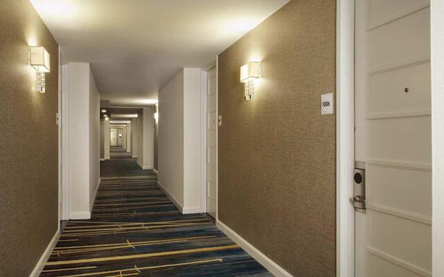 Hilton St. Petersburg Bayfront