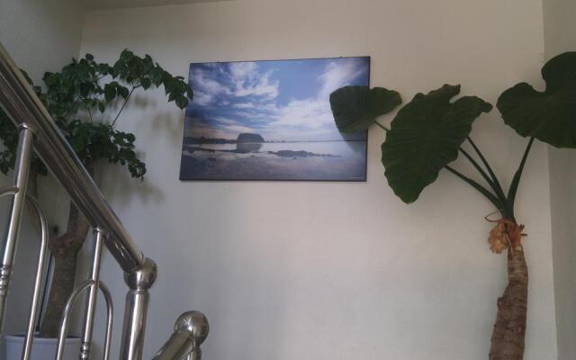 Sea Dragon Pension