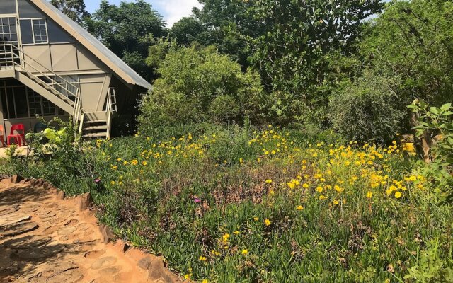 Modimolle Funky Stay Backpackers