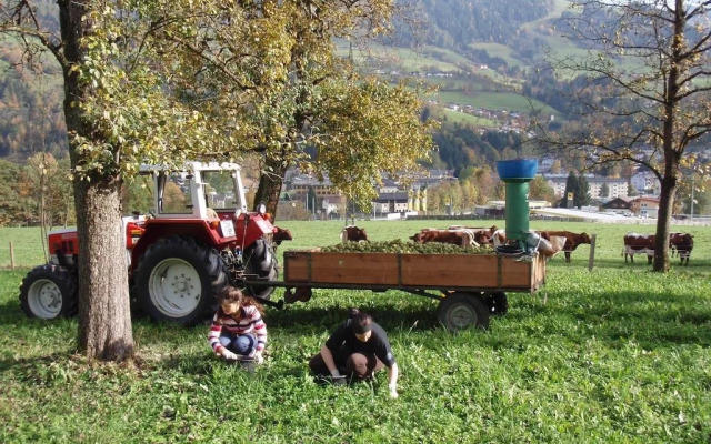 Palfnerhof Appartements