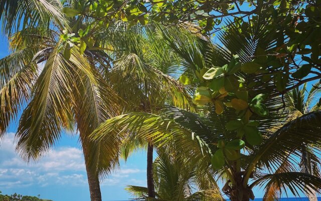 Auberge K-Wan Hostel