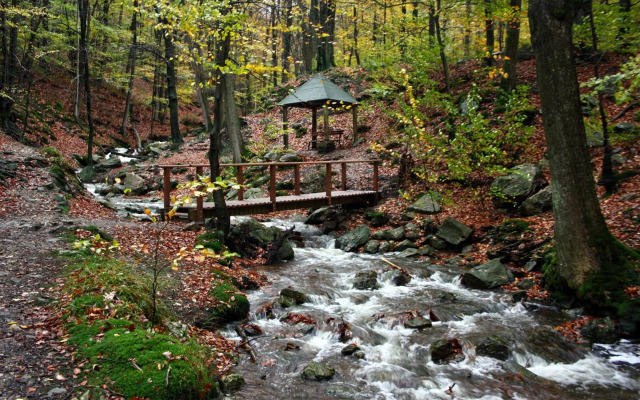 Appartement la Fontaine