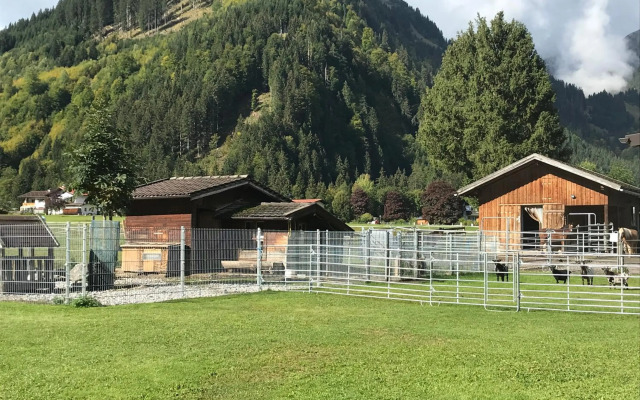 Pony-Ziegen-Hasen-Ranch Bichlbach