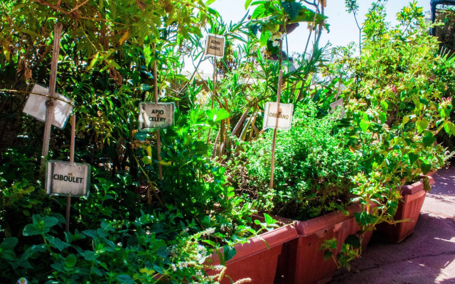 Hostel Casaltura
