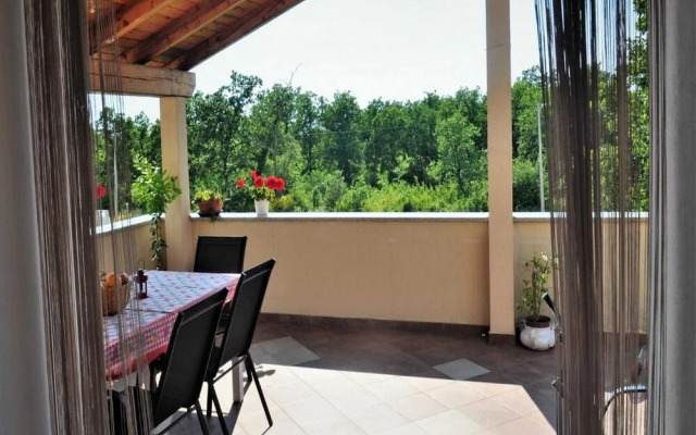 Apartments Belicka