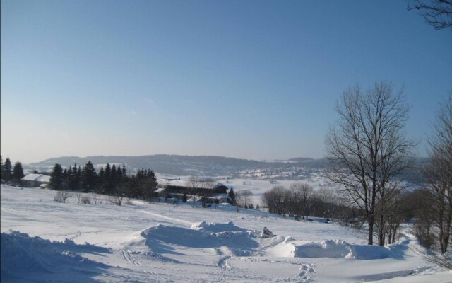 Hôtel Le Grand Chalet