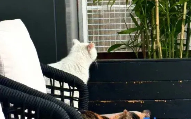 TRUE GO Hotel (Dongguan Chang'an Diwang Plaza)