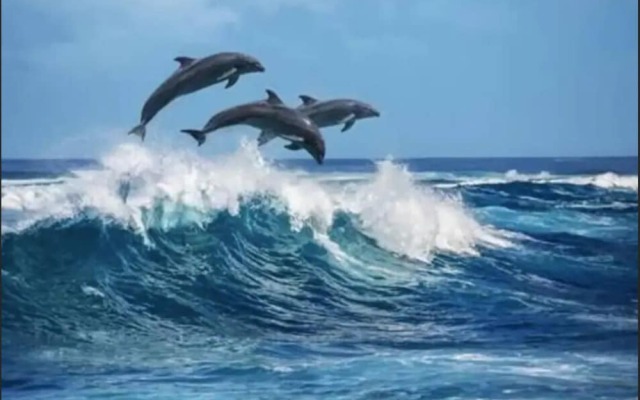 17878 Los Angeles - 4 Br Home