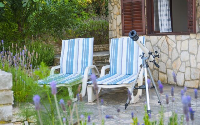 Victorious VIScovery Green