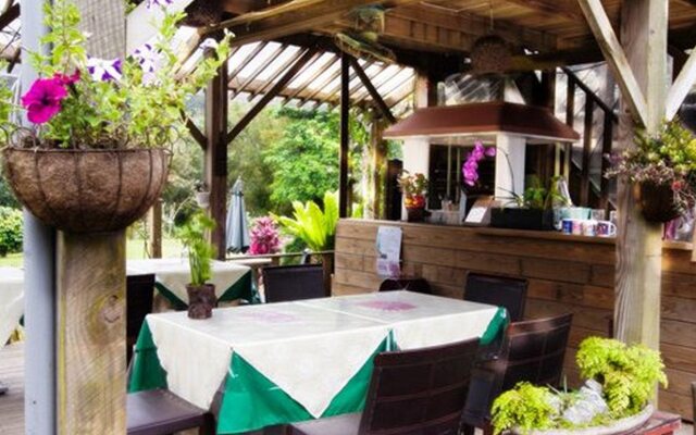 Taiwan Reishi Expert Bed and Breakfast