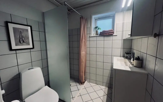 Cozy Flats Silkeborg - S3