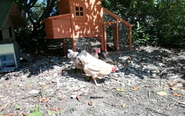 Domaine Abartiague B&B