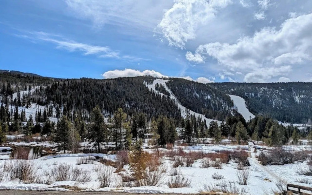 Cinnamon Ridge C114