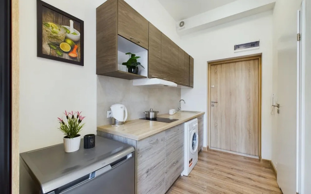 Wooden Cracow Studio by Renters