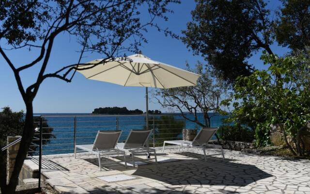 Buric House - Apartments Klasik and Studio Mini