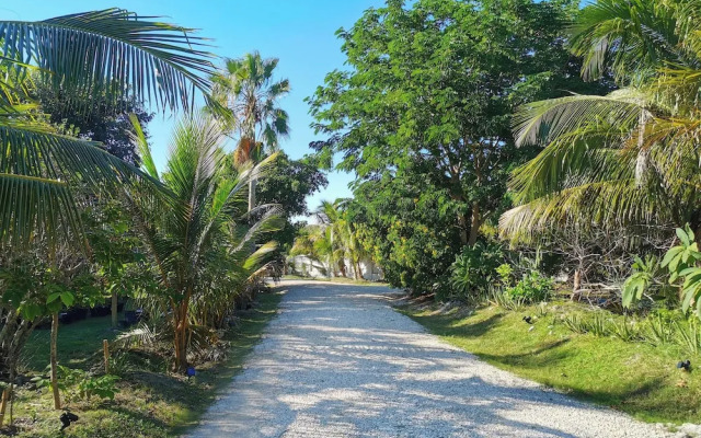 Atlantic View Luxury Villa with Pool