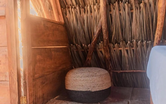 Mapache Hostel & Camping