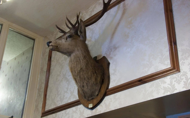 The Buck Hotel