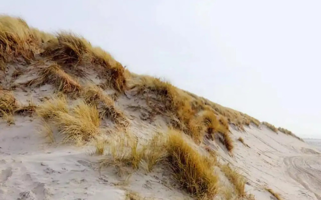 Inviting Dune Chalet in Hollum Near Golf Course