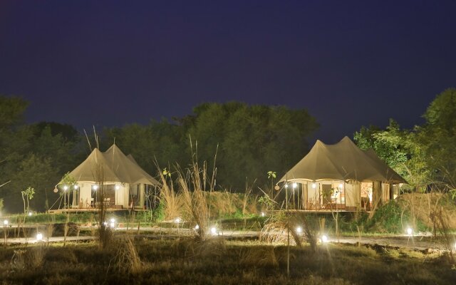 Sawai Shivir Ranthambore by TUTC