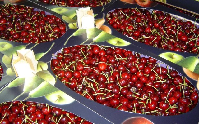 B&B Cherryfarm