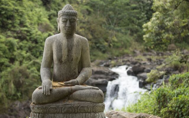 The Inn at Kulaniapia Falls